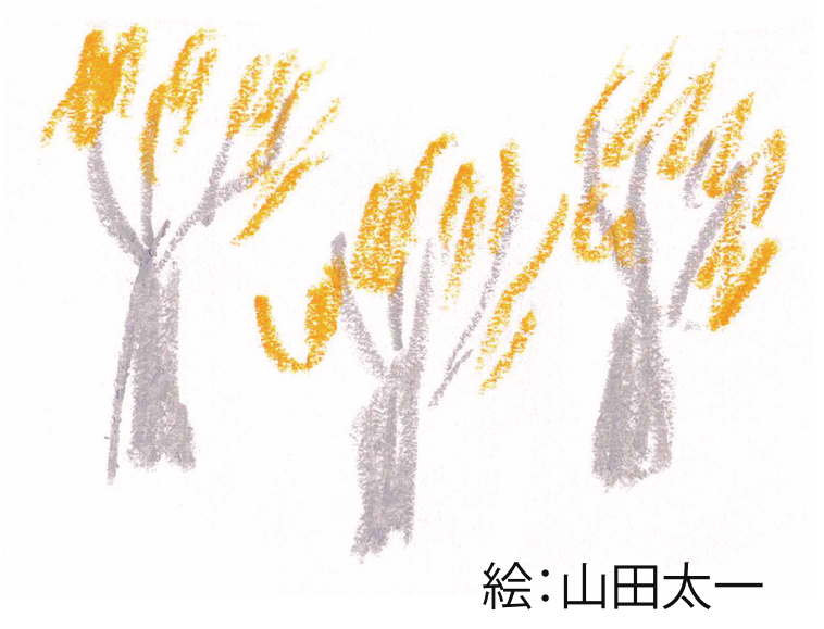 山田太一による木のイラスト。絵：山田太一
